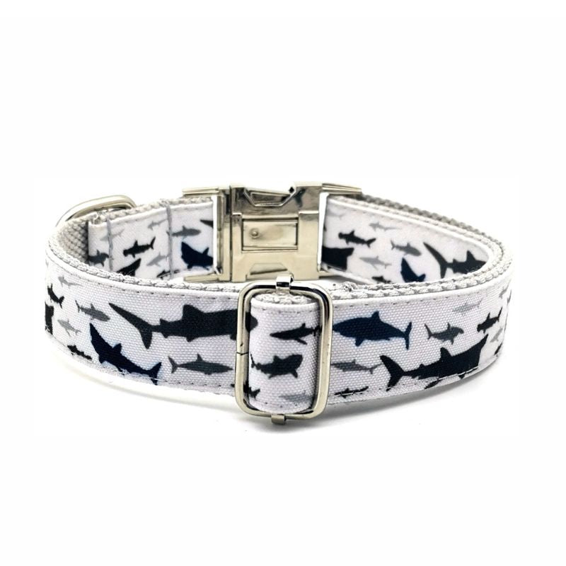 Collier Chien