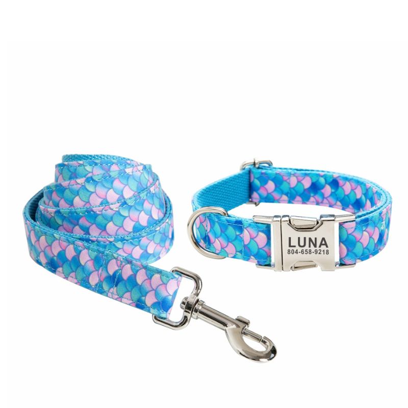 Collier Chien Ecailles