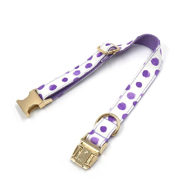 Collier Chien
