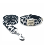 Collier Chien