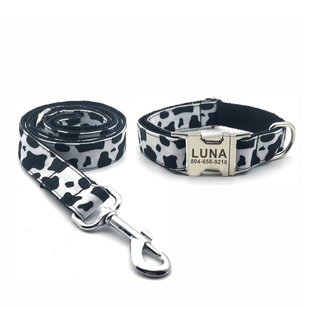 Collier Chien