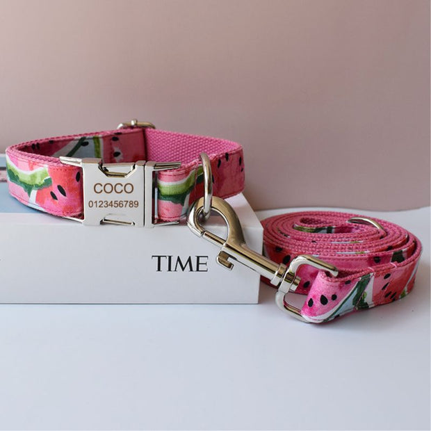Collier Chien