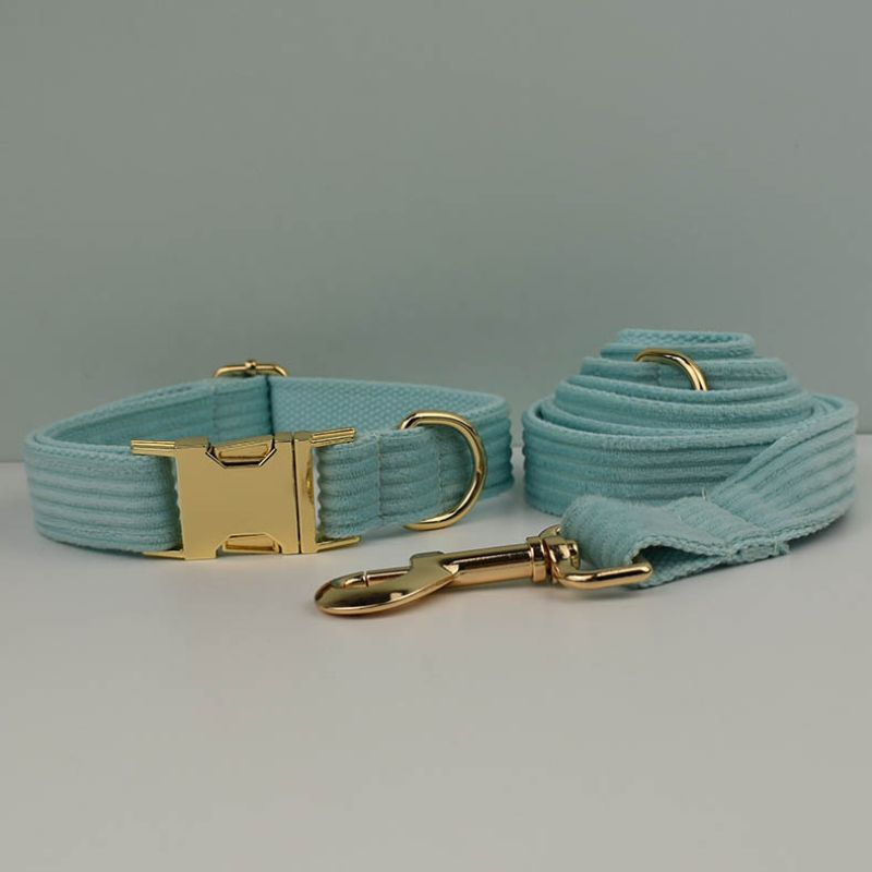 Collier Chiot