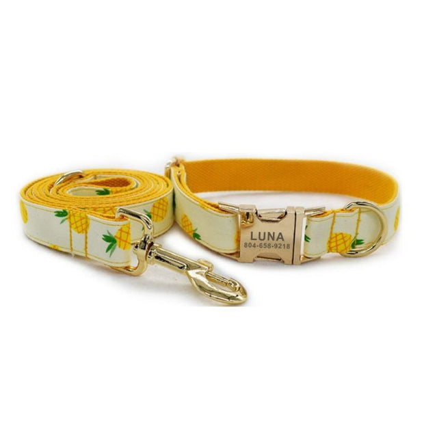 Collier Chiot