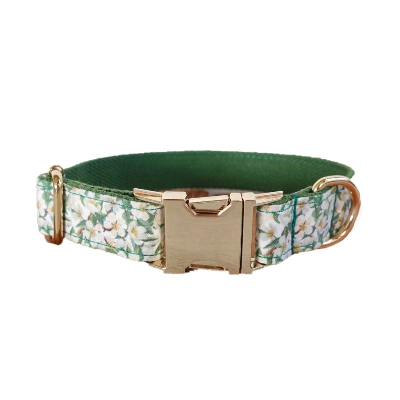 Collier Chiot