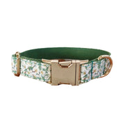 Collier Chiot