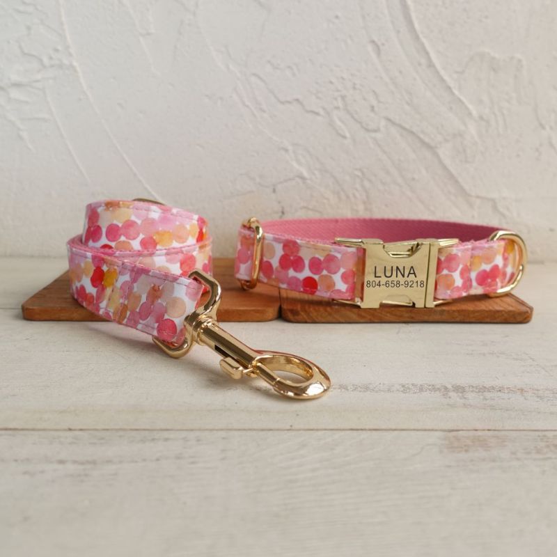 Collier Chiot