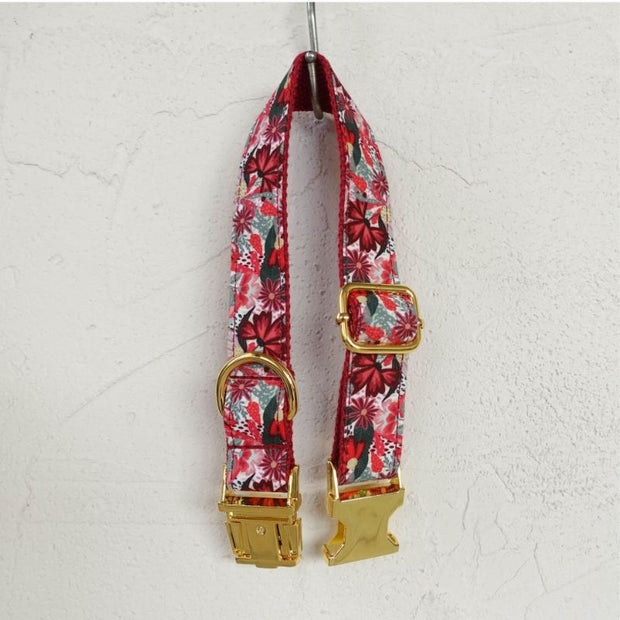 Collier Chiot