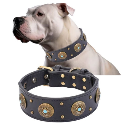 Collier Cuir Chien