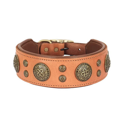 Collier en Cuir Chien