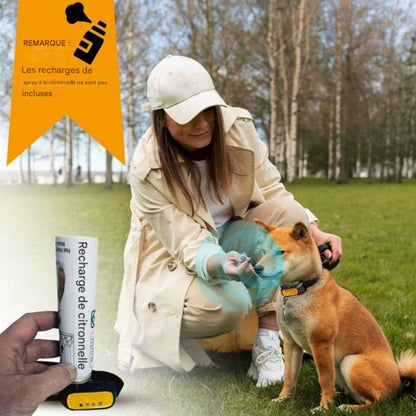 Collier pour Chien Citronelle