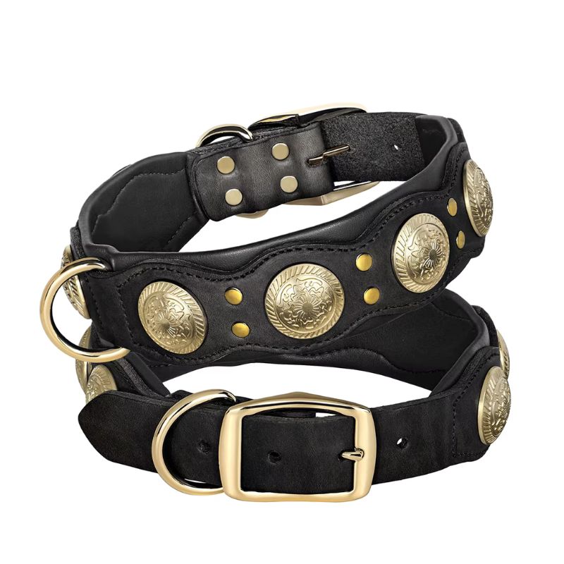 Collier pour Chien Cuir
