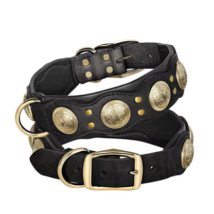 Collier pour Chien Cuir
