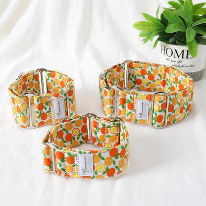 Collier pour Chien Large