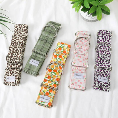 Collier pour Chien à Motifs Colorés