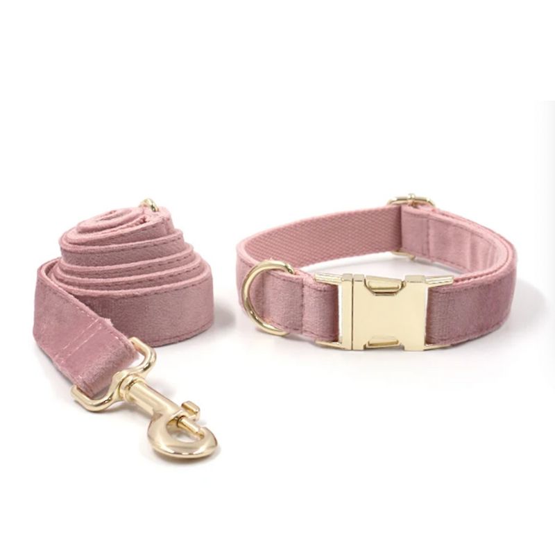 Collier Chien Personnalisé