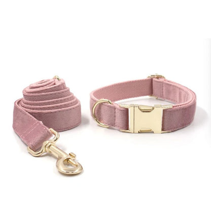 Collier Chien Personnalisé