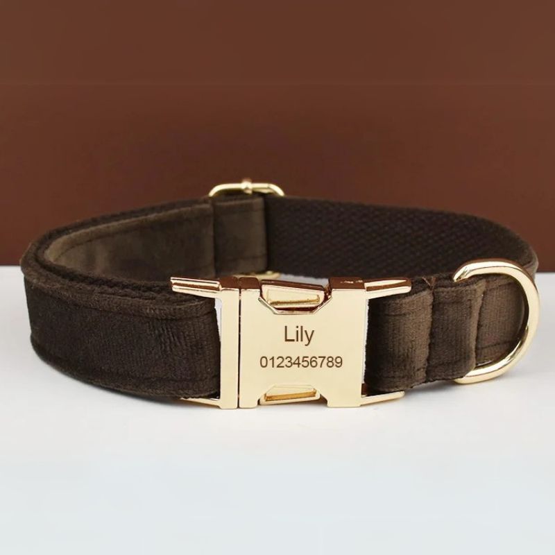 Collier Chien Personnalisé