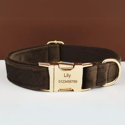 Collier Chien Personnalisé