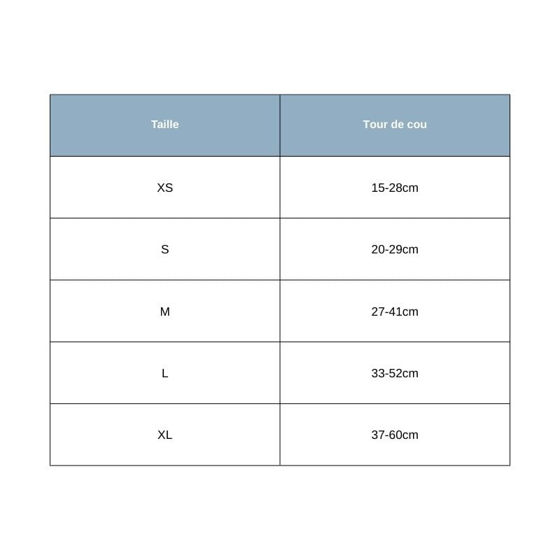 Collier pour Chien Personnalisable