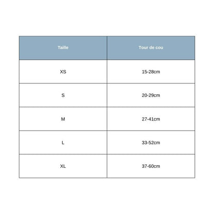 Collier pour Chien Personnalisable