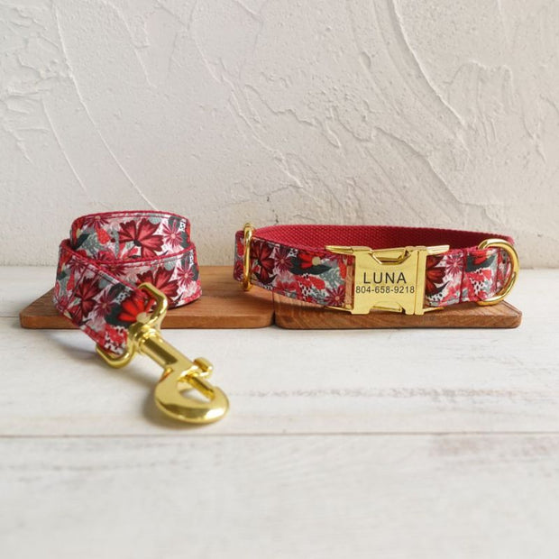 Collier pour Chien