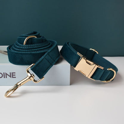 Collier pour Chien 