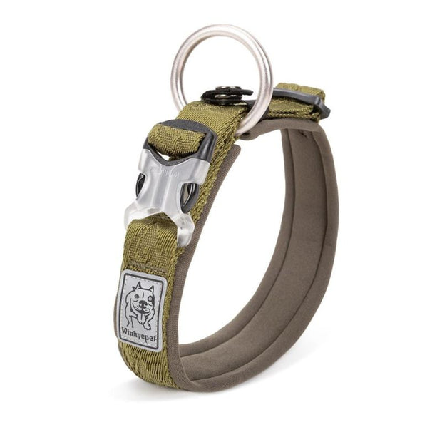 Collier pour Chien
