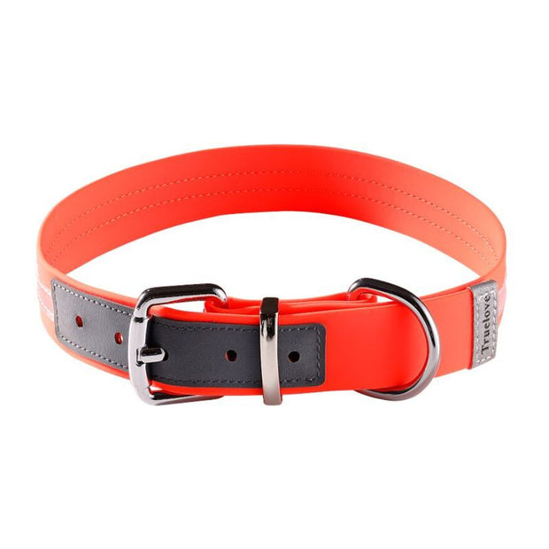 Collier pour Chien