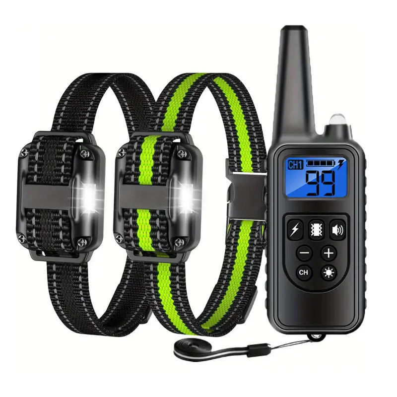 Collier Electrique Chien Duo