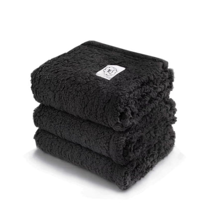 Couverture pour Chien Noir