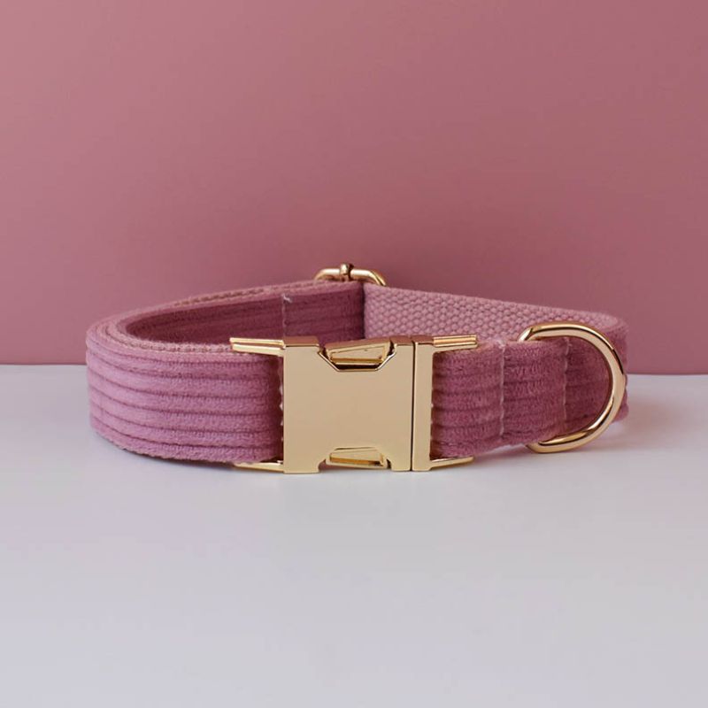 Collier Chiot