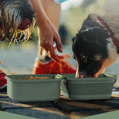 Gamelle Chien Transport