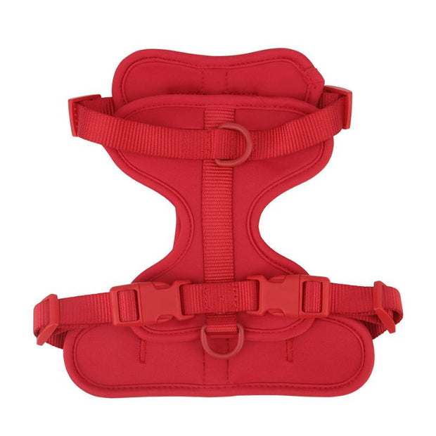 Harnais Anti Traction