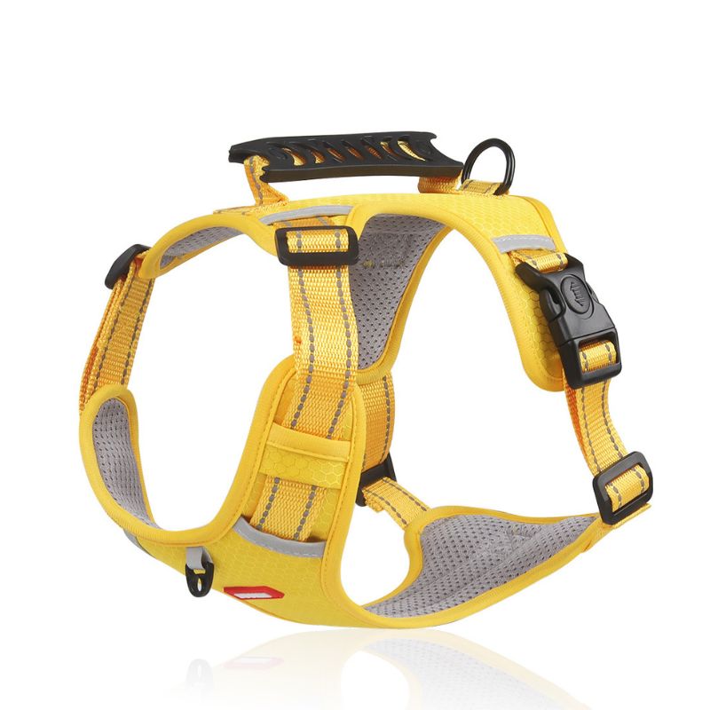 Harnais Chien Anti Traction