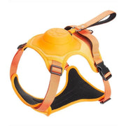 Harnais Chien Orange