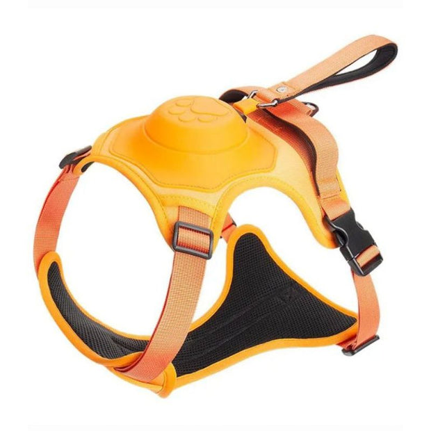 Harnais Chien Orange