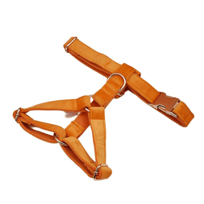 Harnais Chien Personnalise Orange