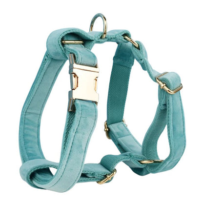 Harnais Chien Personnalisé Turquoise