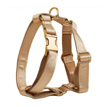 Harnais pour Chien Or
