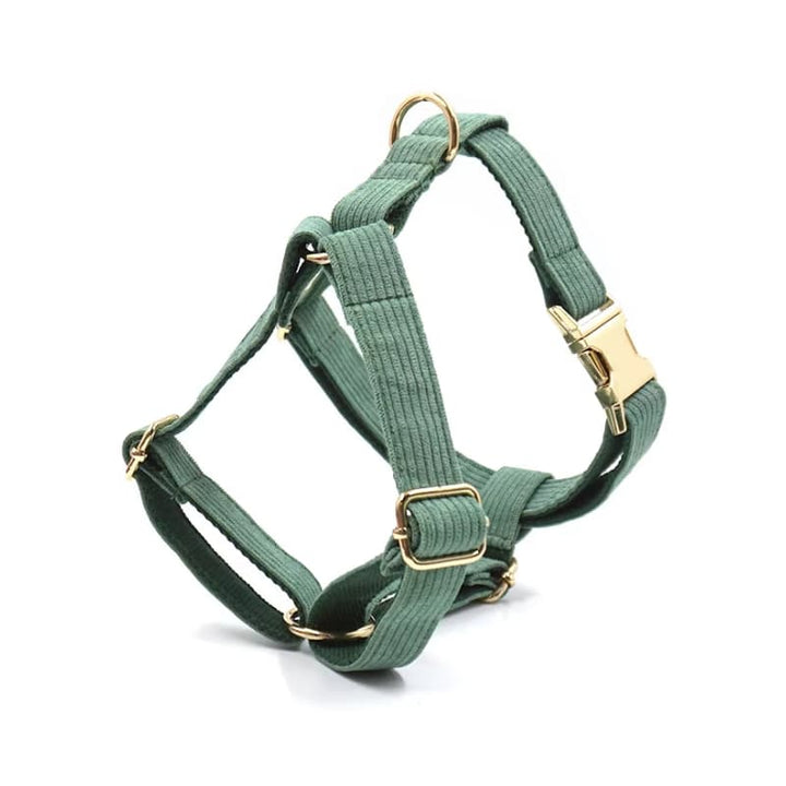 Harnais Chien Personnalisé