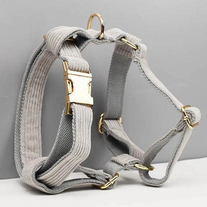 Harnais Chien Gris