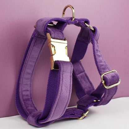 Harnais Chien Violet