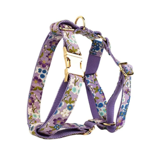 Harnais pour Chien Personnalisé