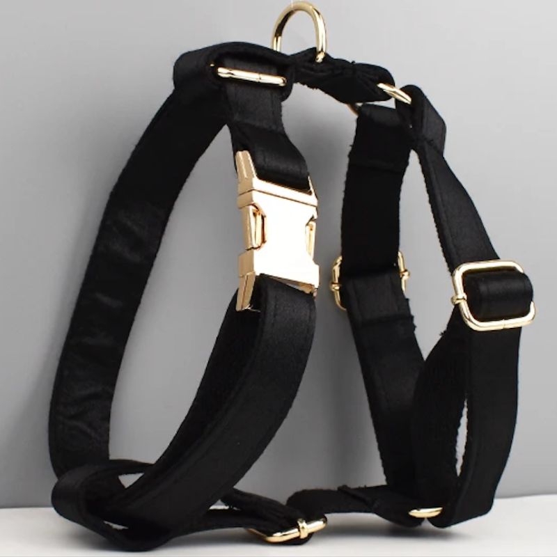 Harnais pour Chien