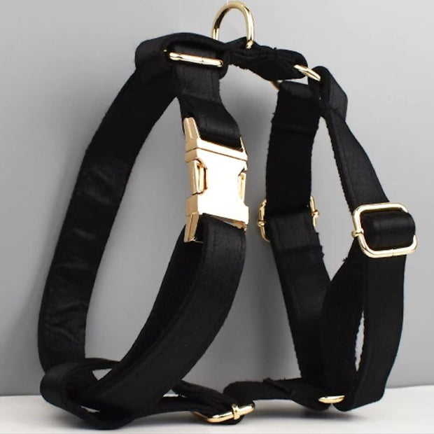 Harnais pour Chien