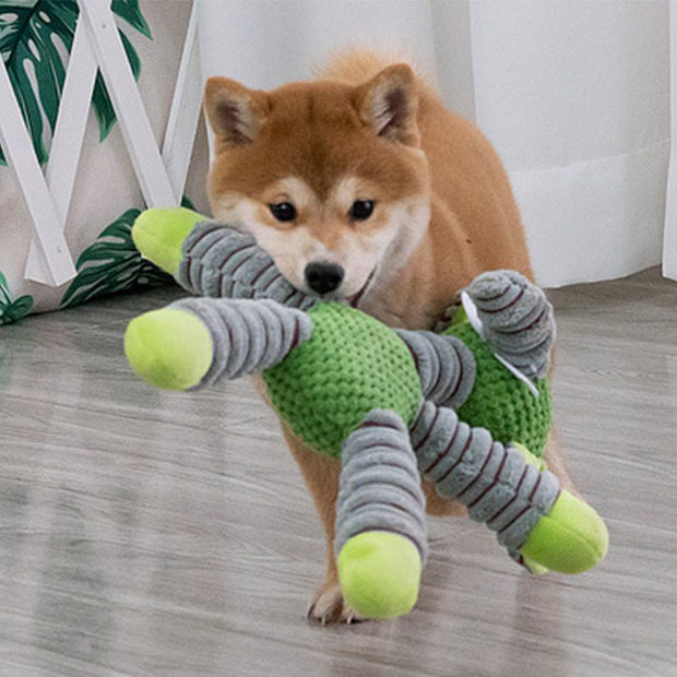 Jouet Chien