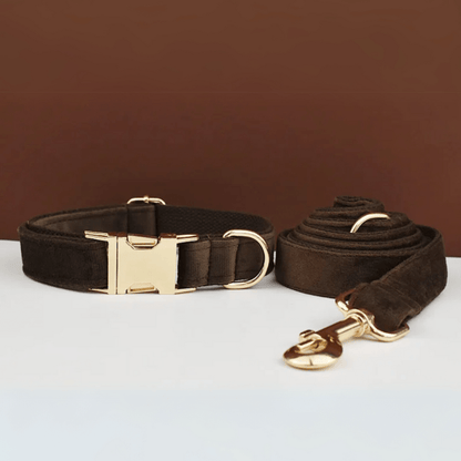 Laisse pour Chien Marron