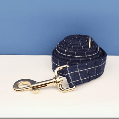 Laisse pour Chien Star