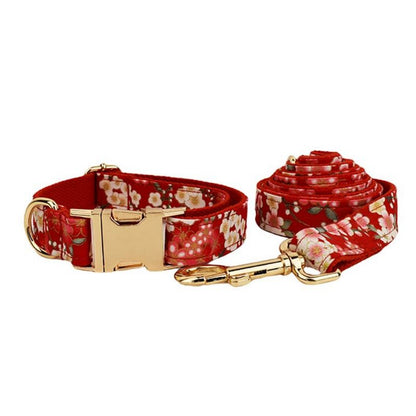 Laisse pour Chien Rouge